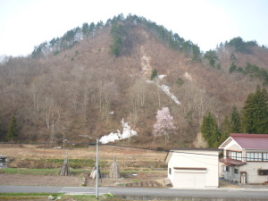 ５月５日、朝の散歩。