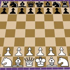 chess2