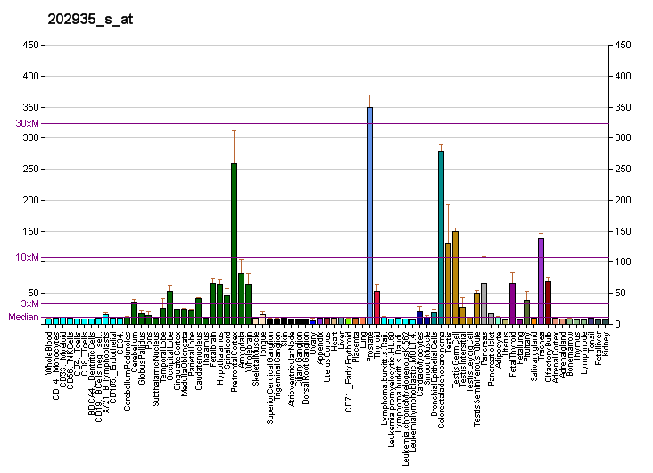 File:PBB GE SOX9 202935 s at fs.png