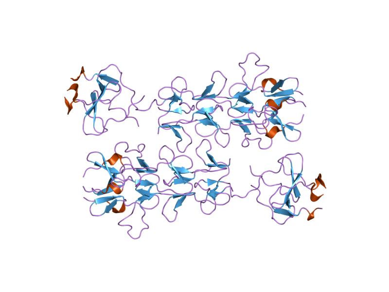 File:PDB 1v1h EBI.jpg