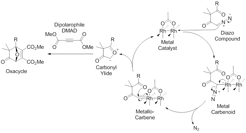 Scheme 7. Accepted mechanism of the 1,3-dipolar cycloaddition reaction mediated by metal catalysis (example dirhodium catalyst) of diazocarbonyl compounds. Modified from M. Hodgson, D.; H. Labande, A.; Muthusamy, S. In Organic Reactions; John Wiley & Sons, Inc.: 2004.