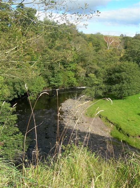 File:High Above The River Ayr - geograph.org.uk - 569760.jpg