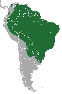 Distribuição geográfica