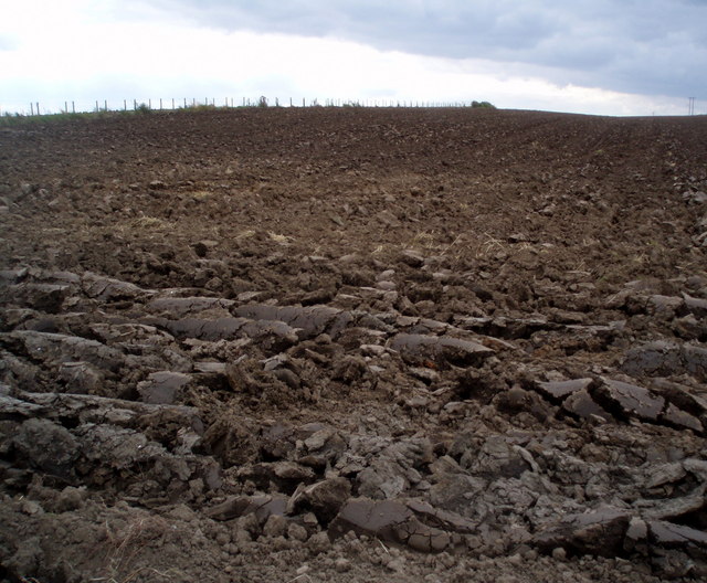 File:Recently ploughed field at Ardestie - geograph.org.uk - 556468.jpg