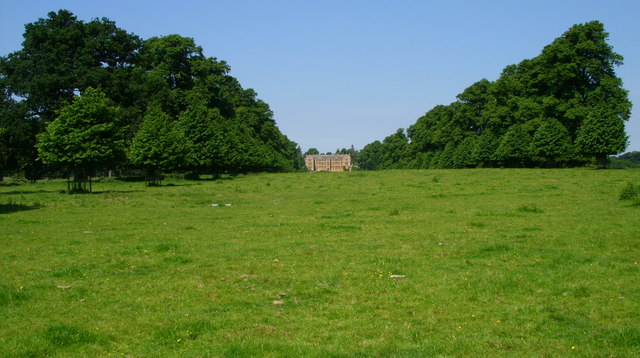 File:Avenue of trees in front of Montacute House - geograph.org.uk - 1021358.jpg