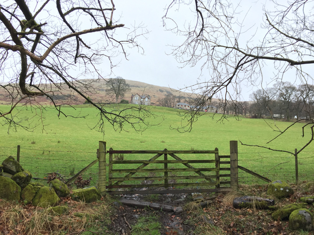 File:Pasture at Dollarbank - geograph.org.uk - 5282046.jpg