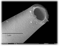 Scanning electron microscope image of a patch pipette.