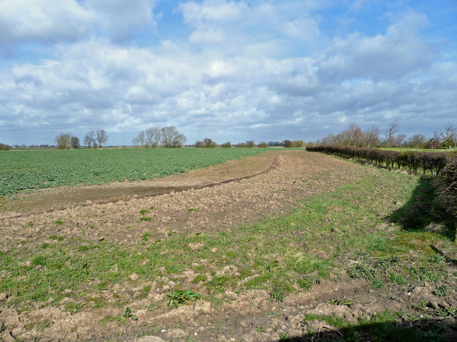 File:Arable land - geograph.org.uk - 723573.jpg