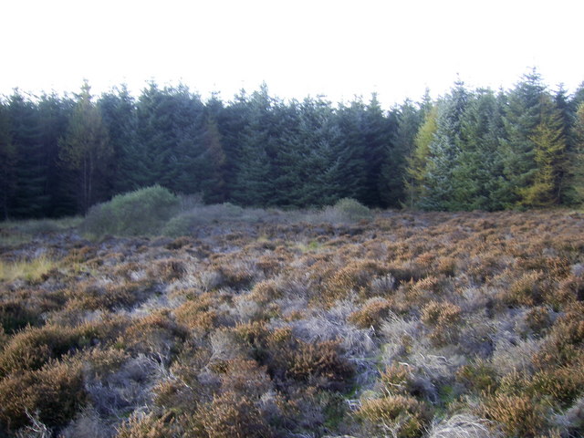 File:Hut circle, Machrie Forest - geograph.org.uk - 589937.jpg