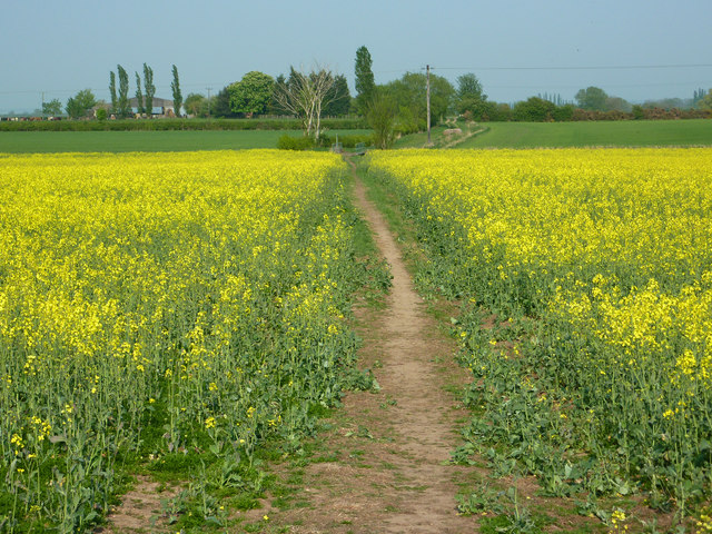 File:The Viking Way - geograph.org.uk - 2380613.jpg