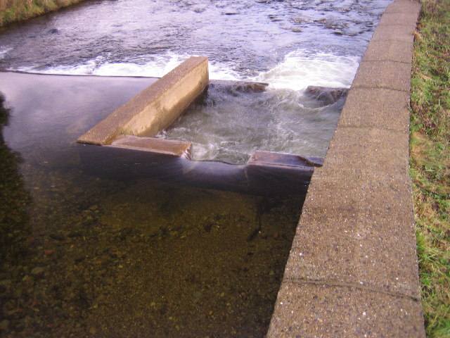 File:Fish pass - geograph.org.uk - 92118.jpg