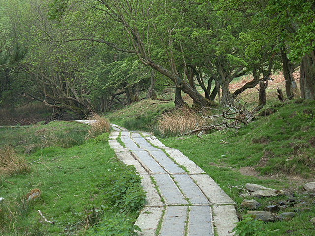 File:Boardwalk on a bridleway - geograph.org.uk - 797971.jpg