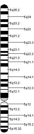 хромнозом 5 са мапираним генским локусима