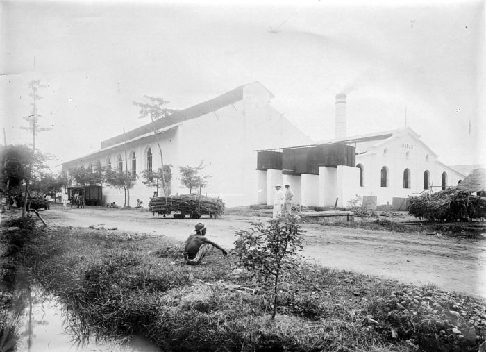 File:COLLECTIE TROPENMUSEUM Afpakloods van buiten gezien lorries beladen met suikerriet Badas TMnr 10011662.jpg