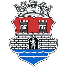 File:COA Pancevo.png