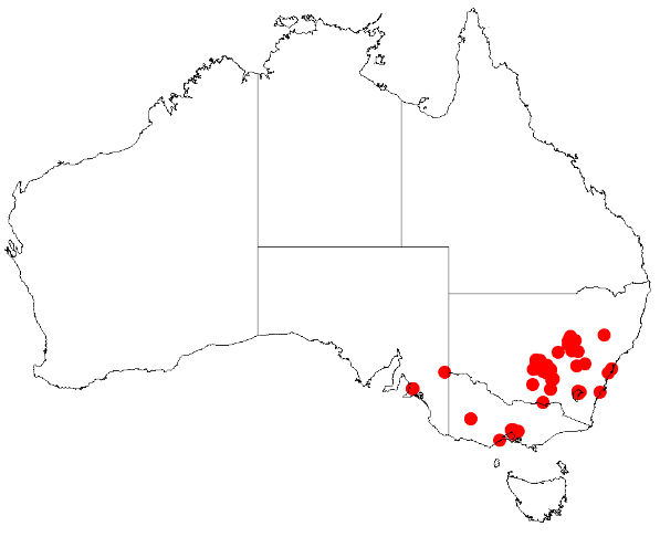 File:Acacia cardiophyllaDistMap163.png