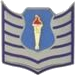 File:AFJROTC TSGT insignia.png