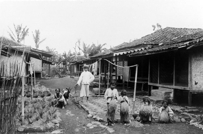 File:COLLECTIE TROPENMUSEUM 'Straatje in Soendanese kampong op de voorgrond drogende rijstbossen Java' TMnr 10011156.jpg