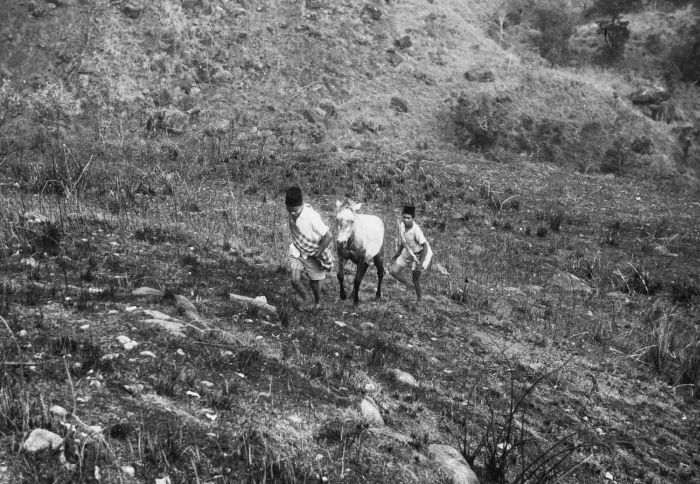 File:COLLECTIE TROPENMUSEUM Berglandschap met mannen en paard omgeving Tjikoro TMnr 10029342.jpg