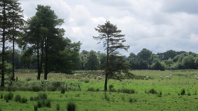 File:Clonaboy - geograph.org.uk - 3101266.jpg