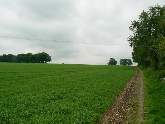 File:Dummer farmland - geograph.org.uk - 829545.jpg