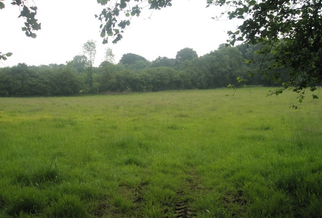 File:Field just off Kingsfernsden Lane - geograph.org.uk - 1345286.jpg