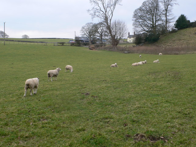 File:Garreg Farm - geograph.org.uk - 1147985.jpg