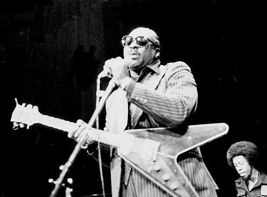 File:Albert King.jpg