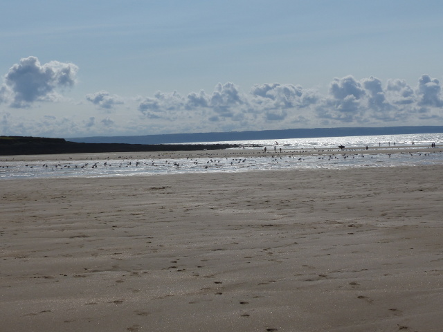 File:Beach at Croyde - geograph.org.uk - 5546995.jpg