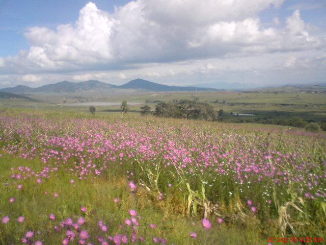 File:Vista acazuchitlan - panoramio.jpg