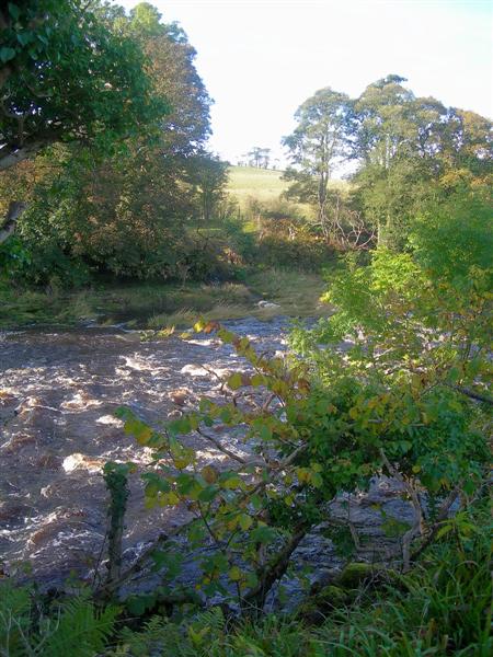 File:The River Ayr - geograph.org.uk - 578949.jpg