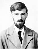 D. H. Lawrence -  Bild