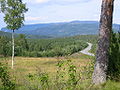 Through forest around Grong