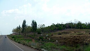 Estradas do Pará - panoramio (6).jpg