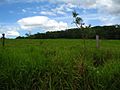 Eine Farm in Montes Claros