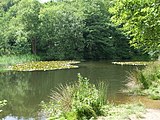 Fishing pond