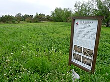 Tagoyano Shell Mound 03.jpg