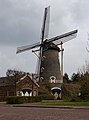 Zeeland, le moulin: le Coppensmolen