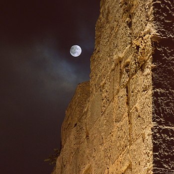 Kelibia fort Photograph: IssamBarhoumi