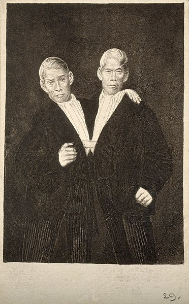 File:Chang and Eng the Siamese twins, as old men. Aquatint. Wellcome V0007369.jpg