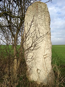 Image illustrative de l’article Menhir de Feldengel