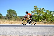 Photo n°3, derrière le cycliste, pour montrer le volume de l'arbuste