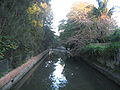 Looking upstream near Lord Street, Haberfield