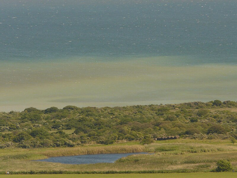 File:Hiddensee 19.08.10-3.JPG