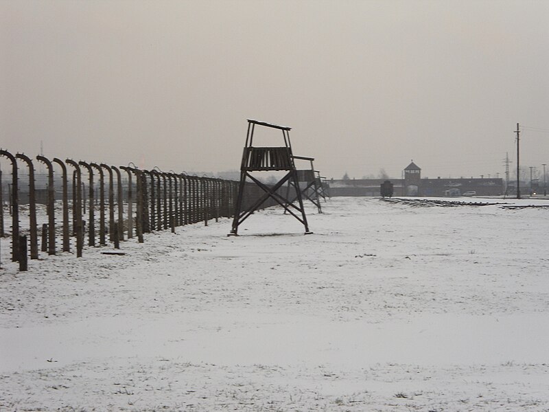 File:KL Auschwitz-Birkenau II (5469020594).jpg