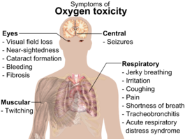 Main symptoms of oxygen toxicity.[17]