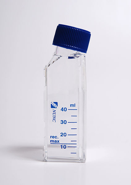 File:Small cell culture flat flask.jpg