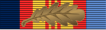 Vietnam Medal