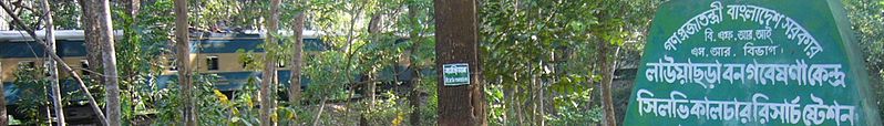 File:WV banner Sylheti phrasebook Sign in Lawachara National Park.jpg