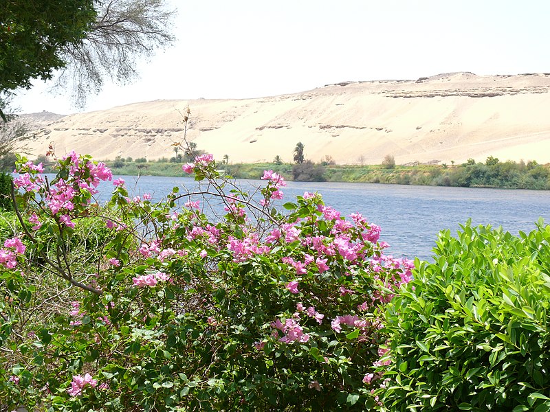 File:Aswan Botanical Garden 004.jpg